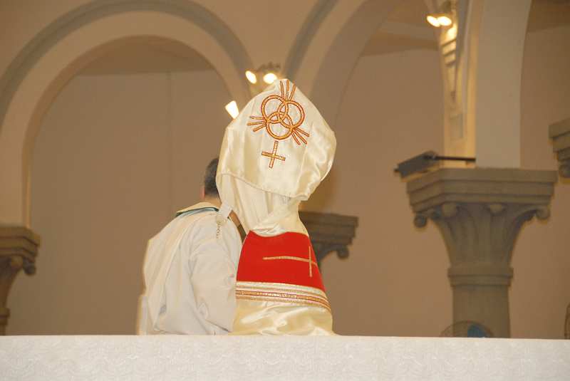 DSC (402)